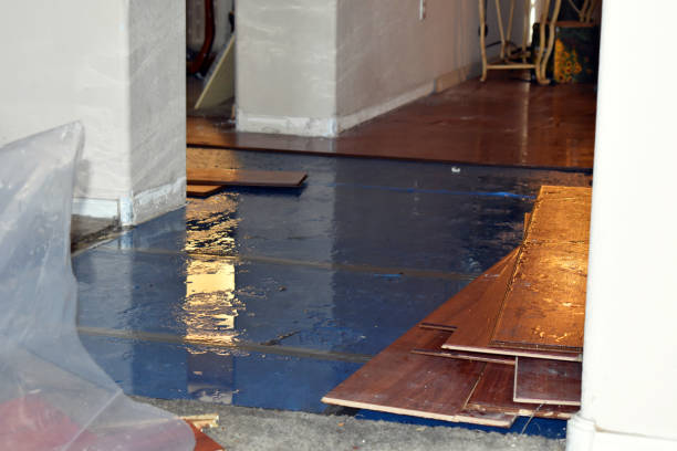 Professional Flood Damage Repair technician working in Latham, OH